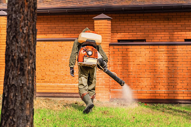 Top rated local Wasp Removal specialists in Royal Oak, MI
